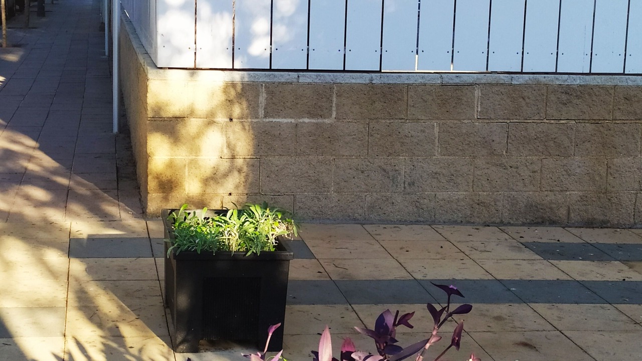 Photo of Outdoor in El Roc de Sant Gaieta