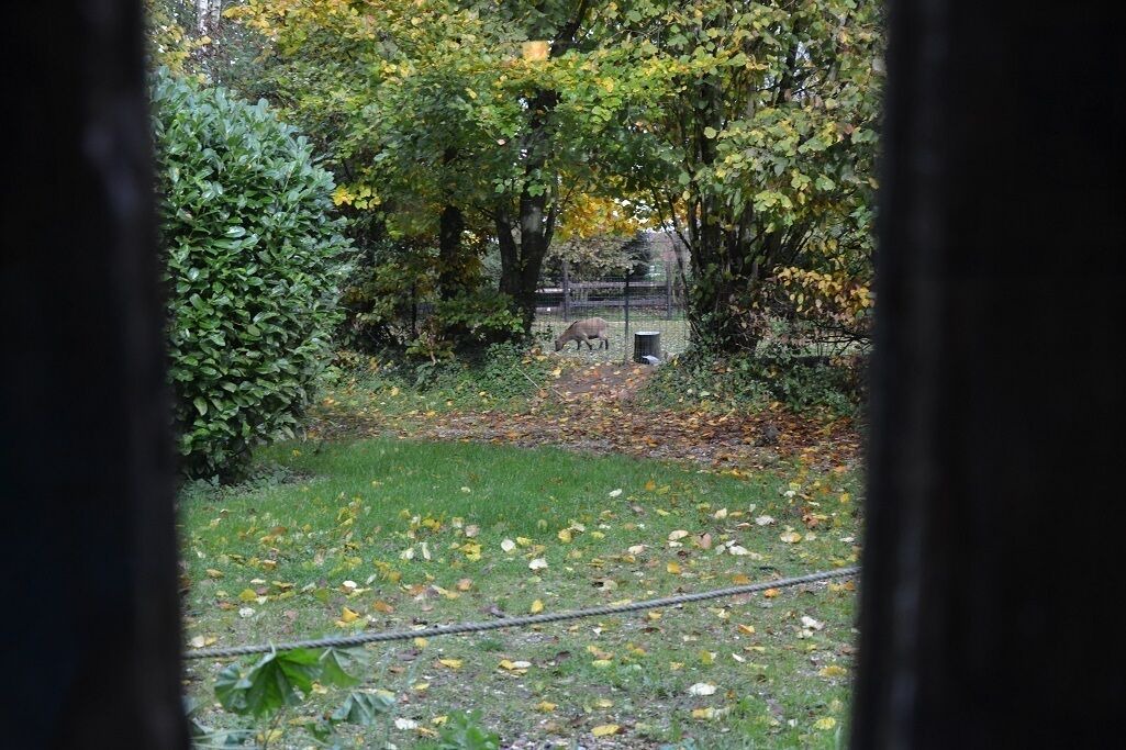 Photo of Outdoor in La Haye-Aubree