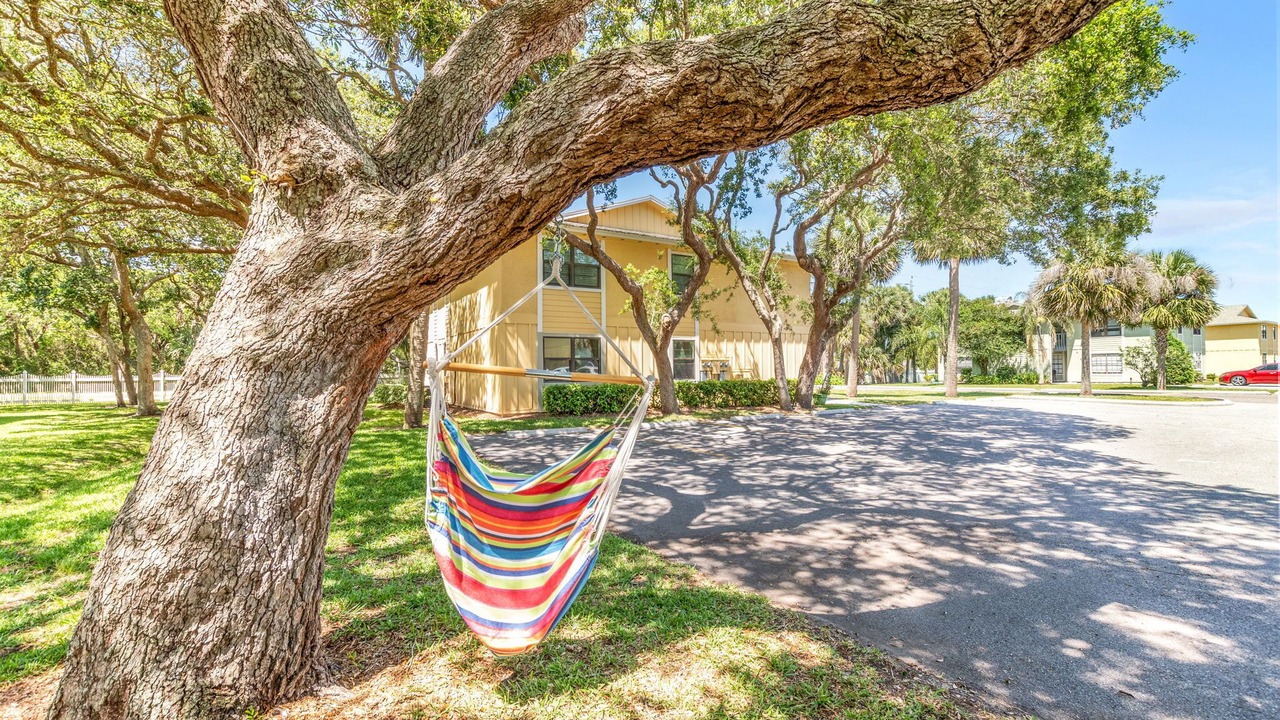 Photo of Outdoor in St. Augustine Beach