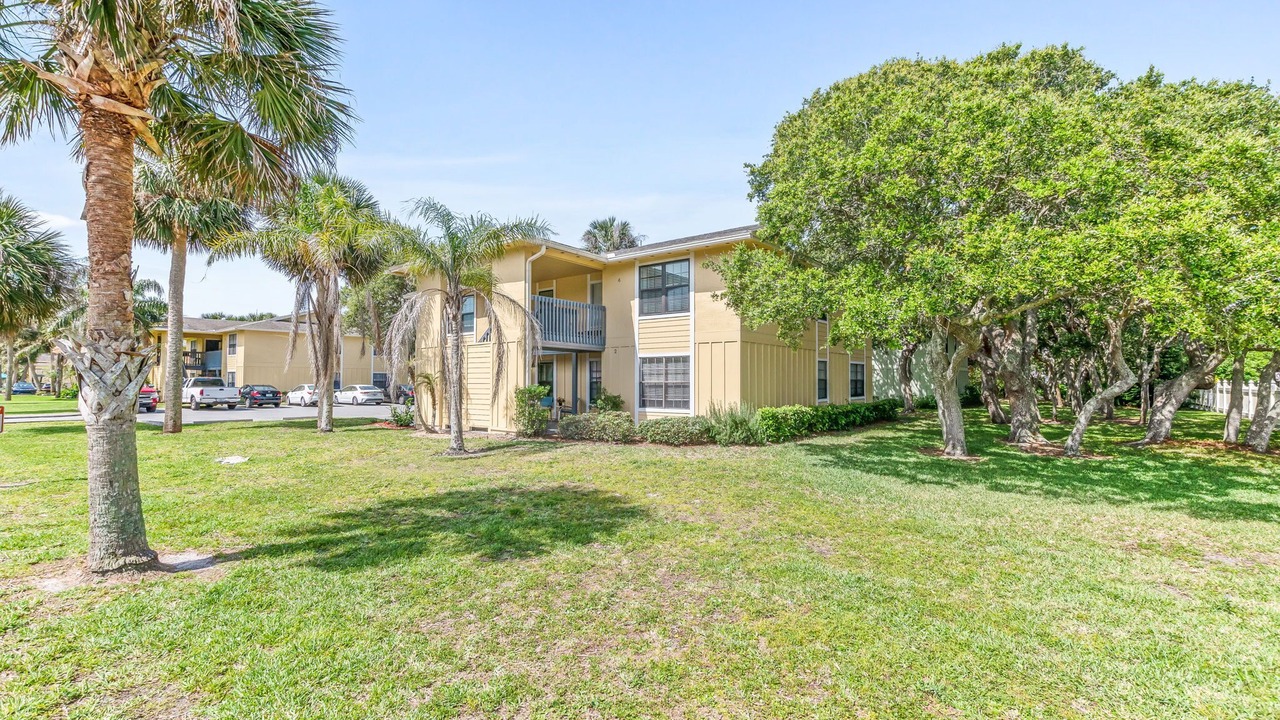 Photo of Outdoor in St. Augustine Beach