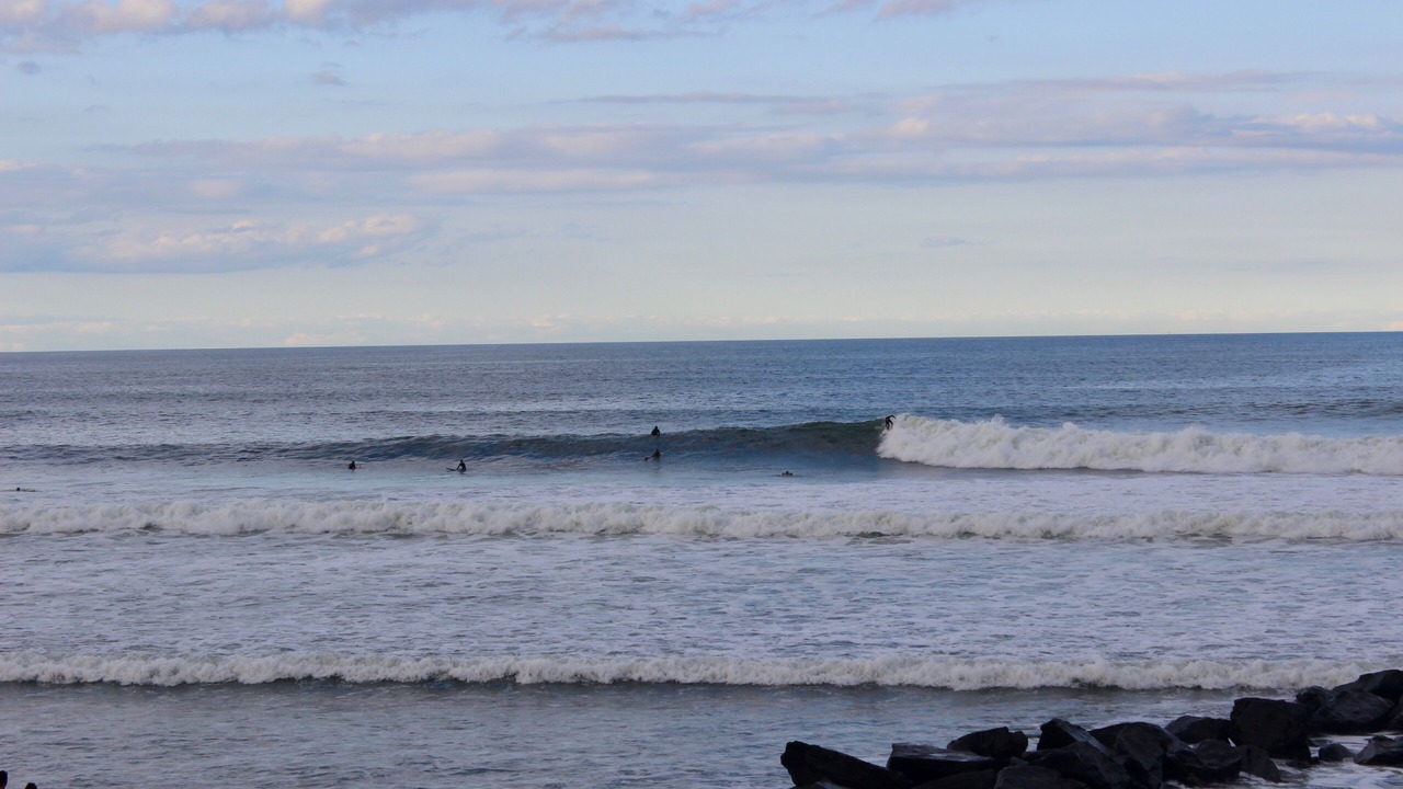 Photo of Others in Ocean Bluff-Brant Rock