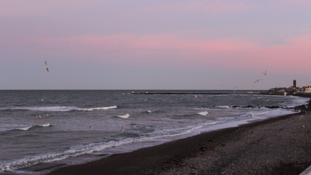 Photo of Others in Ocean Bluff-Brant Rock