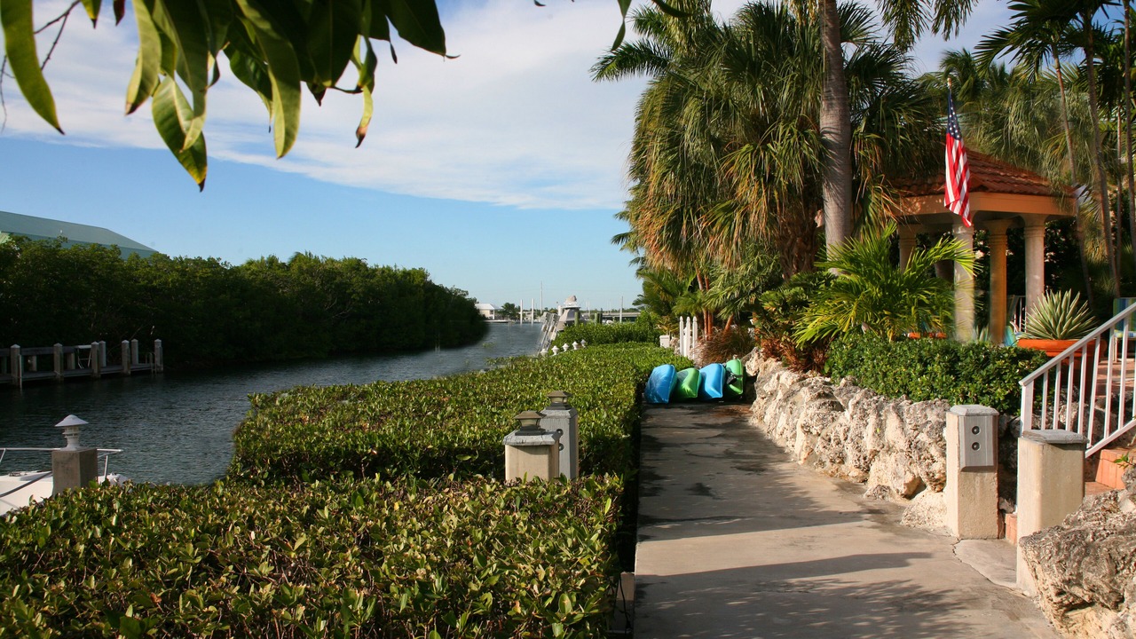 Photo of Others in Coury