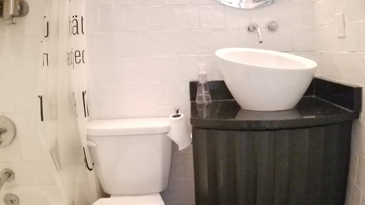 Photo of Bathroom in Downtown Memphis