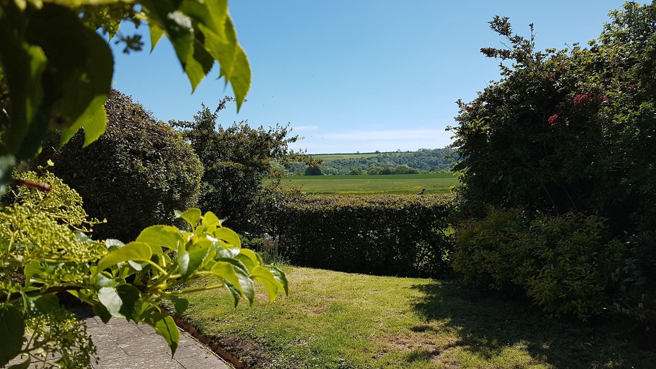 Photo of Others in Melcombe Bingham