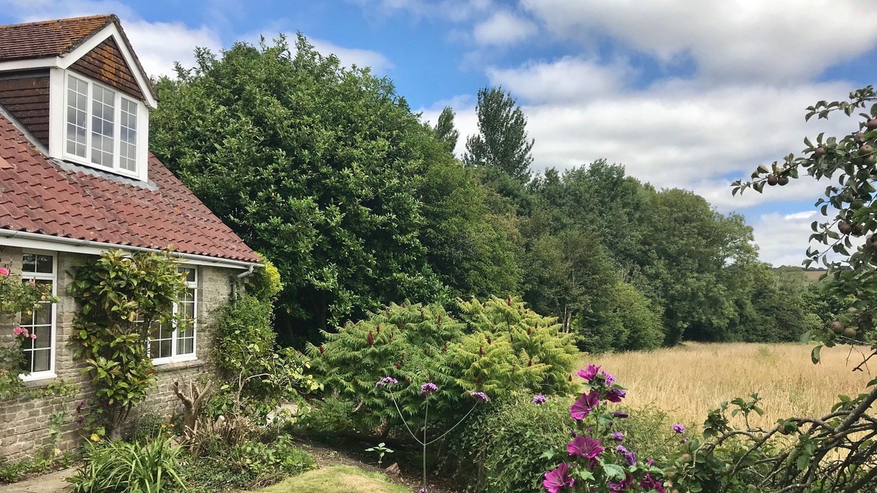 Photo of Others in Melcombe Bingham