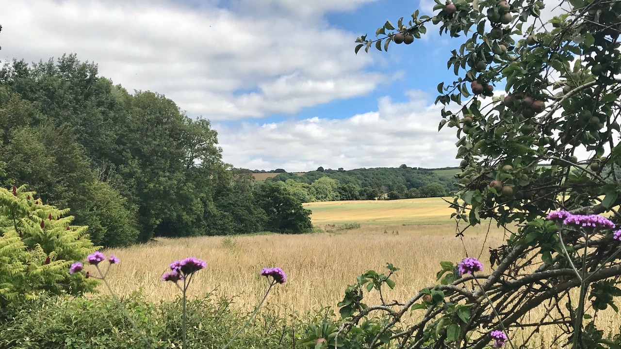 Photo of Others in Melcombe Bingham