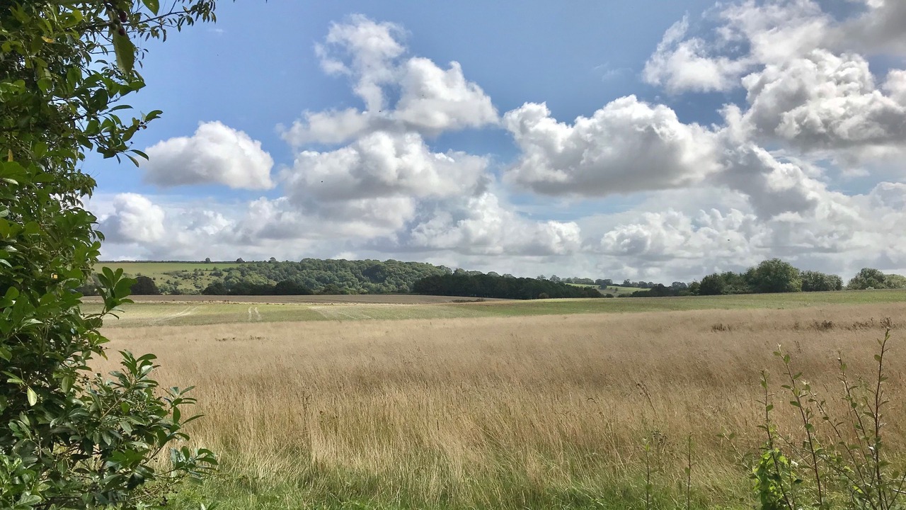 Photo of Others in Melcombe Bingham