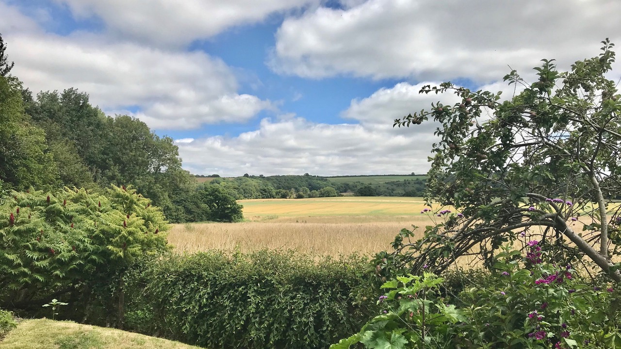 Photo of Outdoor in Melcombe Bingham