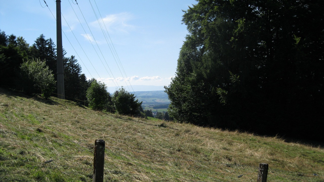 Photo of Outdoor in Les Paccots