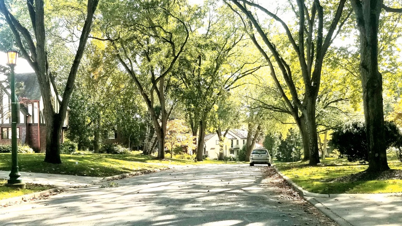 Photo of Others in Ottawa Hills