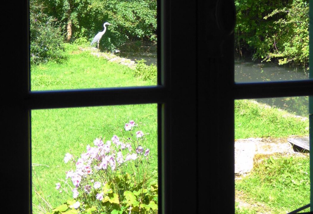 Photo of Others in Saint-Martin-des-Combes