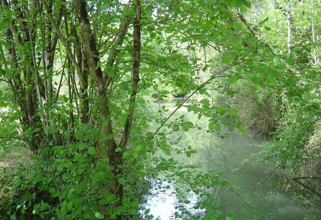 Photo of Outdoor in Saint-Martin-des-Combes