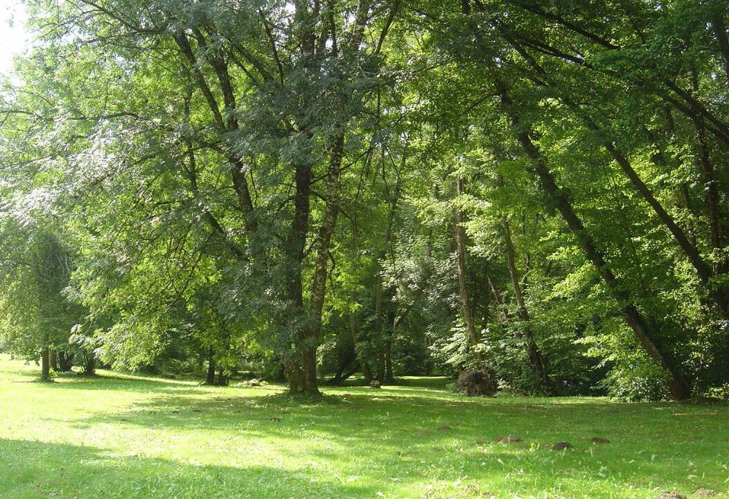 Photo of Outdoor in Saint-Martin-des-Combes