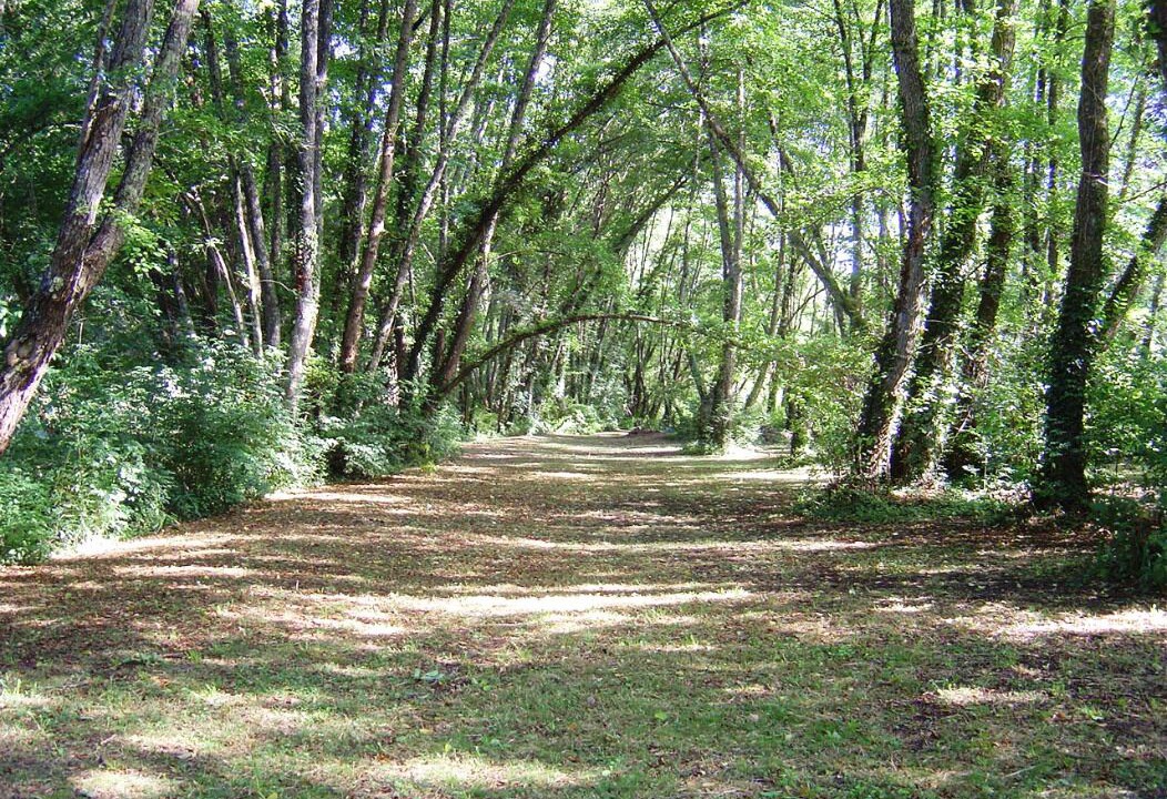 Photo of Outdoor in Saint-Martin-des-Combes