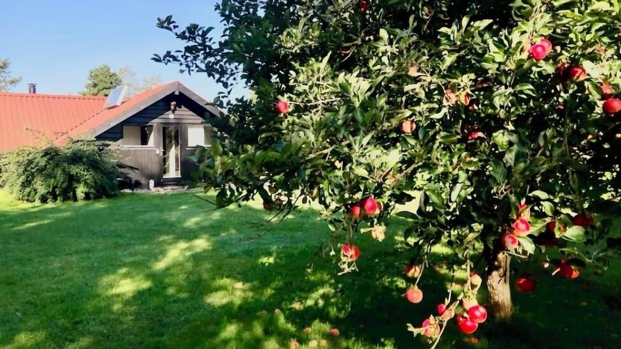 Photo of Outdoor in Stege