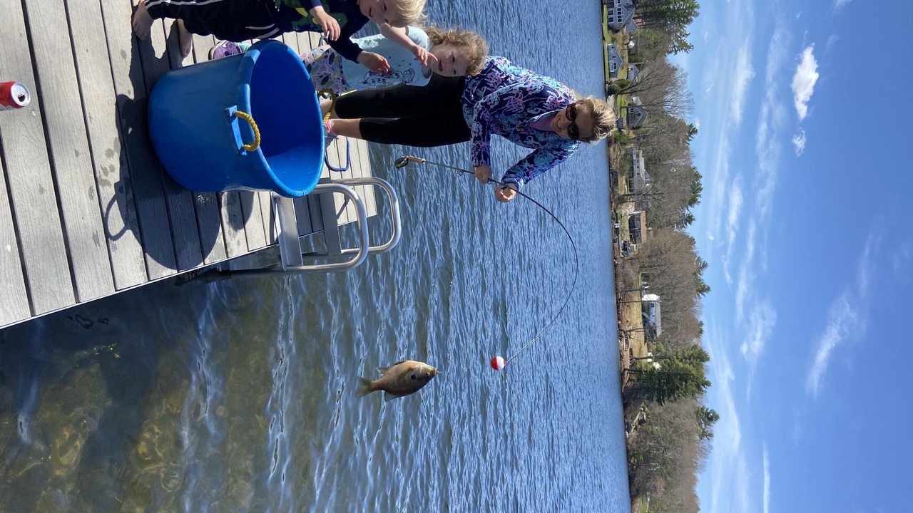 Photo of Others in Dudley