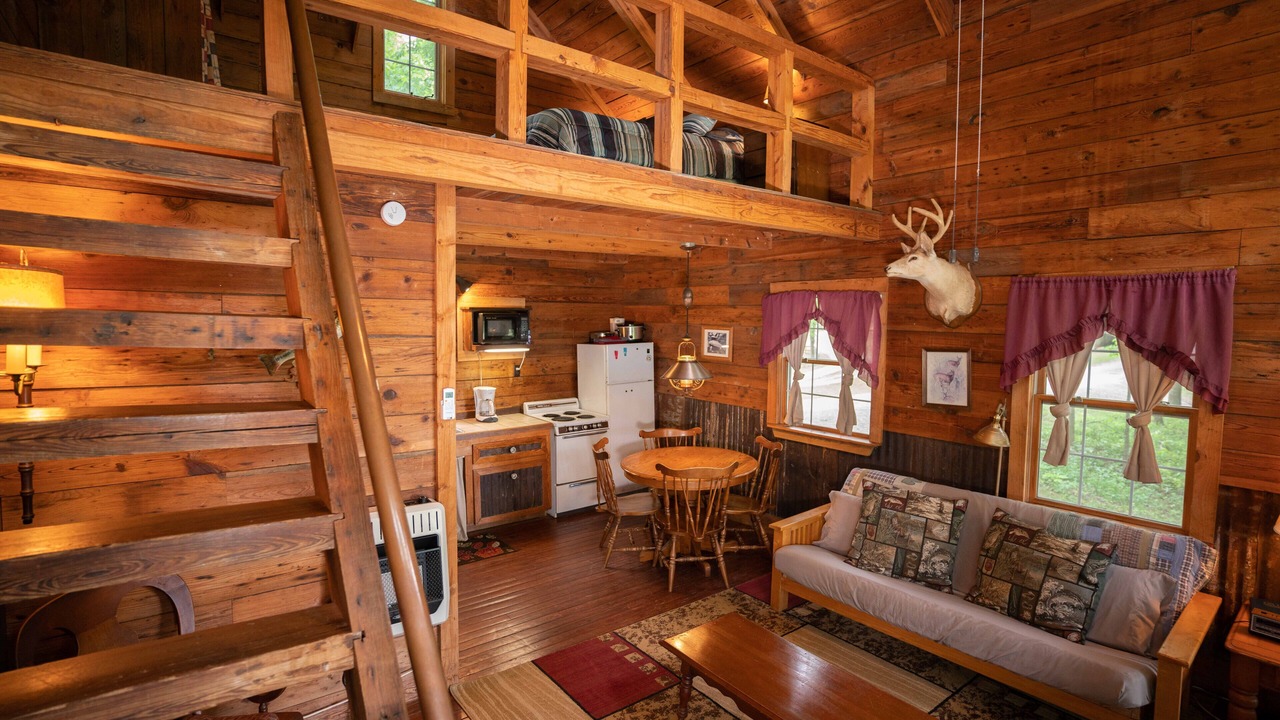 Photo of Livingroom in Buffalo City