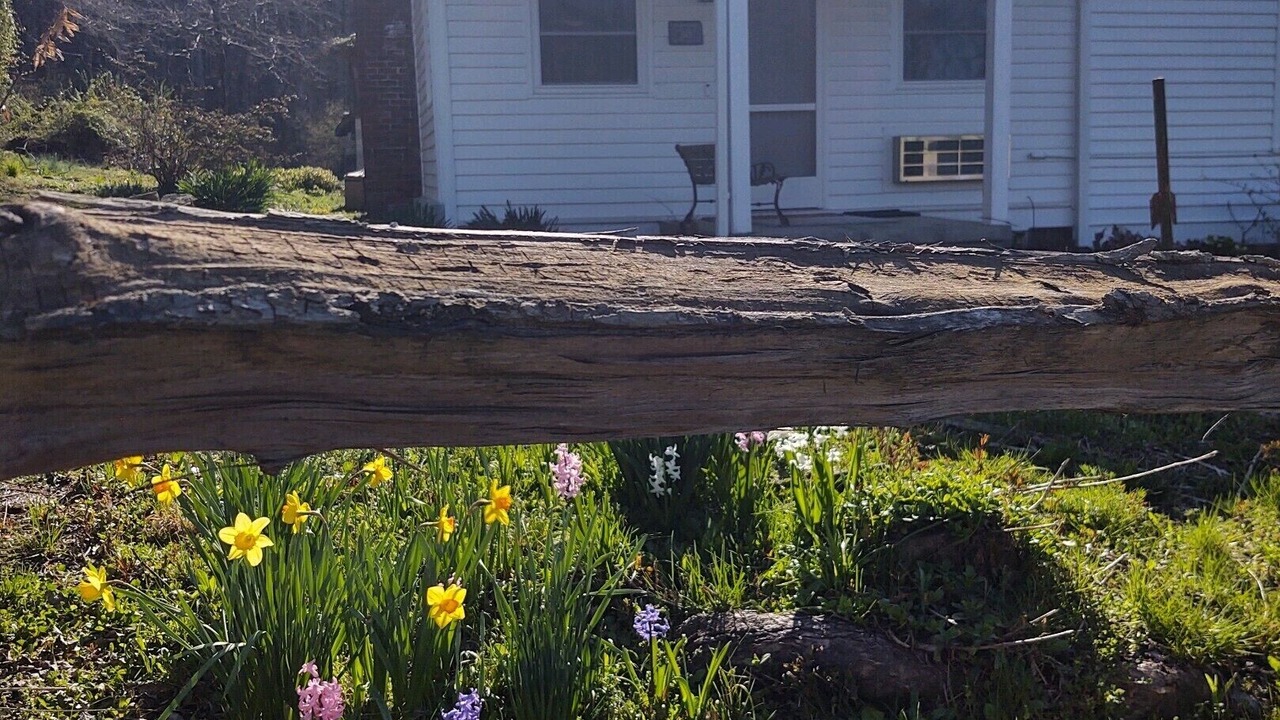Photo of Outdoor in Qualla