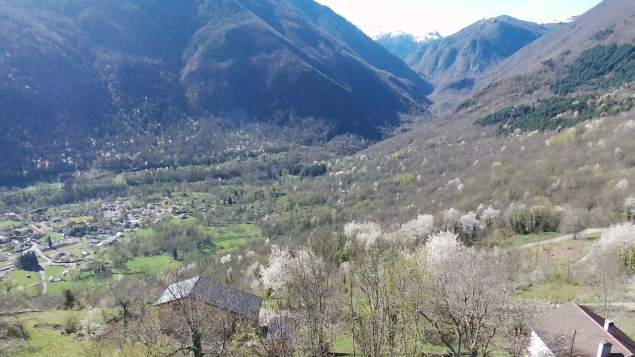 Photo of Outdoor in Larcat