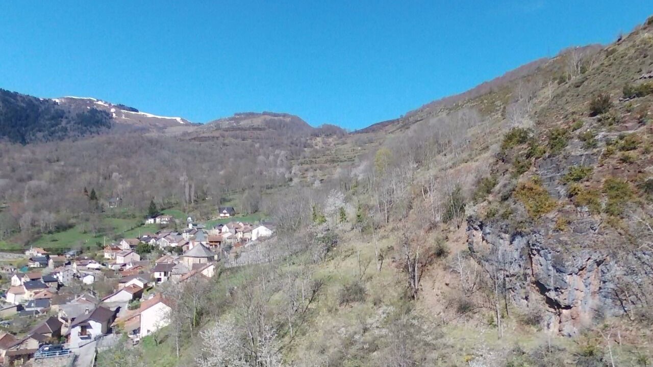 Photo of Others in Larcat
