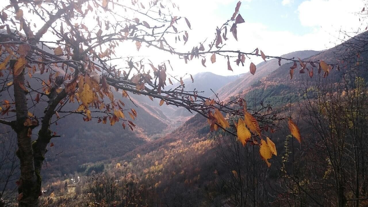 Photo of Others in Larcat