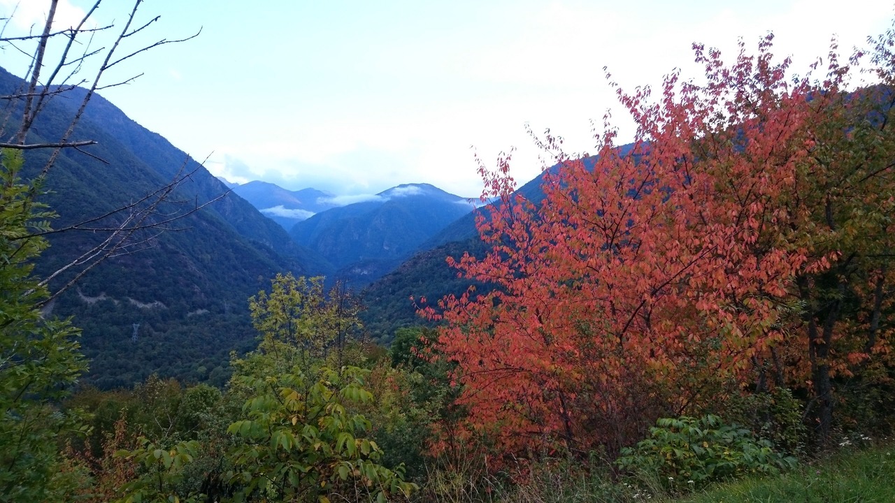Photo of Outdoor in Larcat