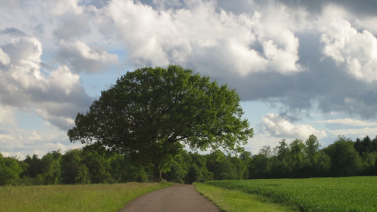 Photo of Outdoor in Trampot