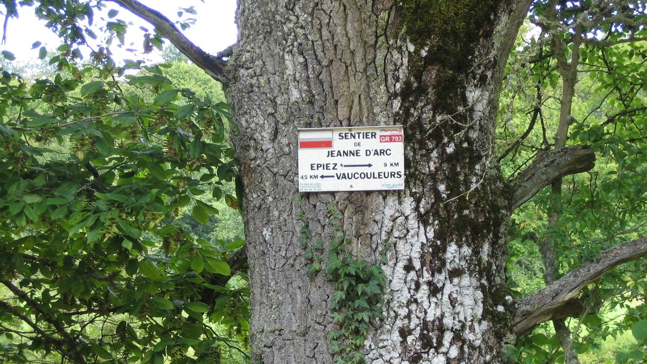 Photo of Outdoor in Trampot