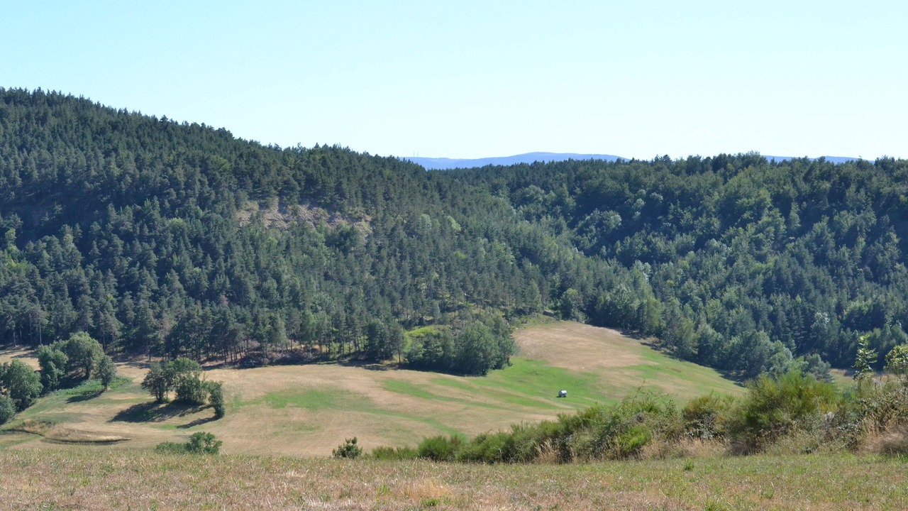 Photo of Others in Barre-des-Cevennes