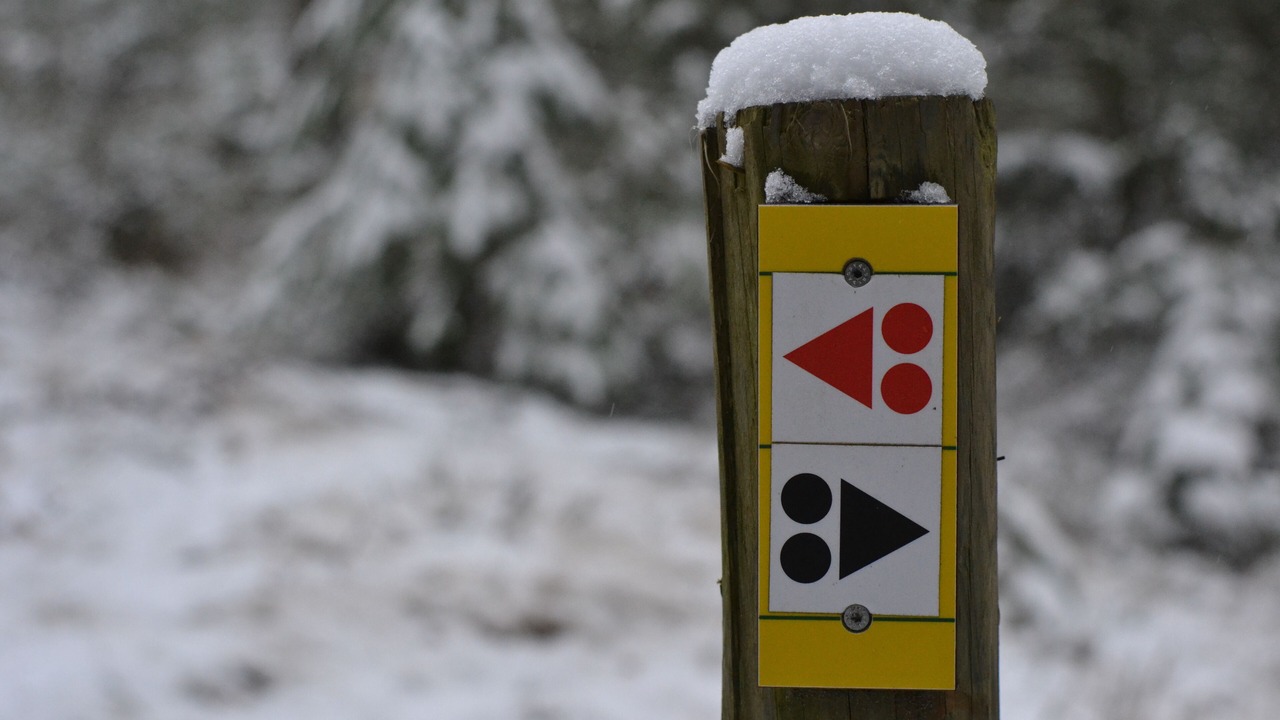 Photo of Outdoor in Barre-des-Cevennes