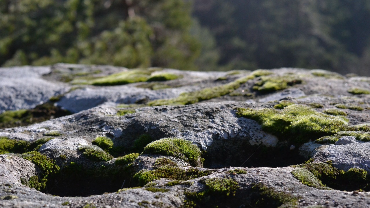 Photo of Outdoor in Barre-des-Cevennes
