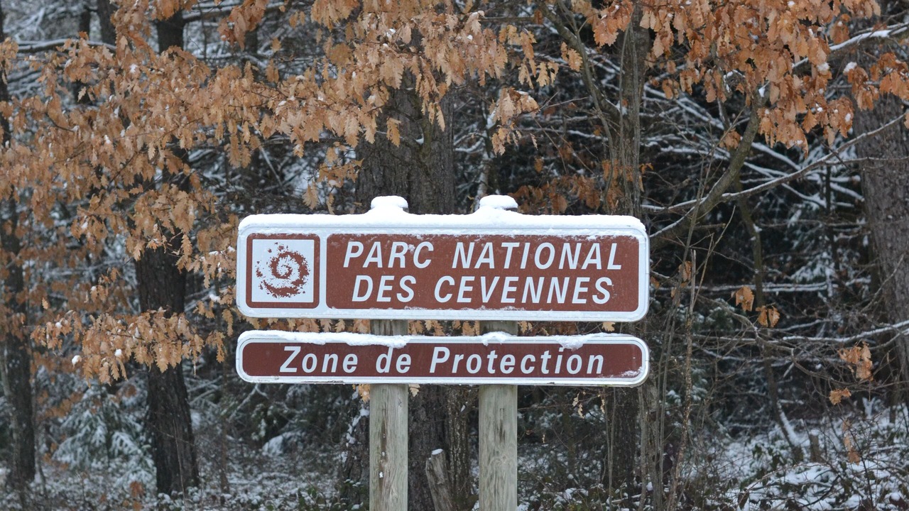 Photo of Outdoor in Barre-des-Cevennes