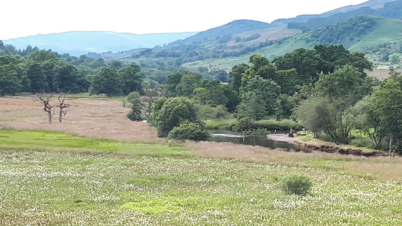 Photo of Others in Callander