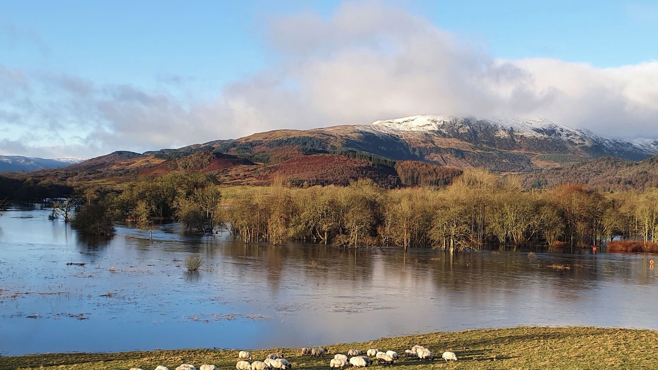 Photo of Others in Callander