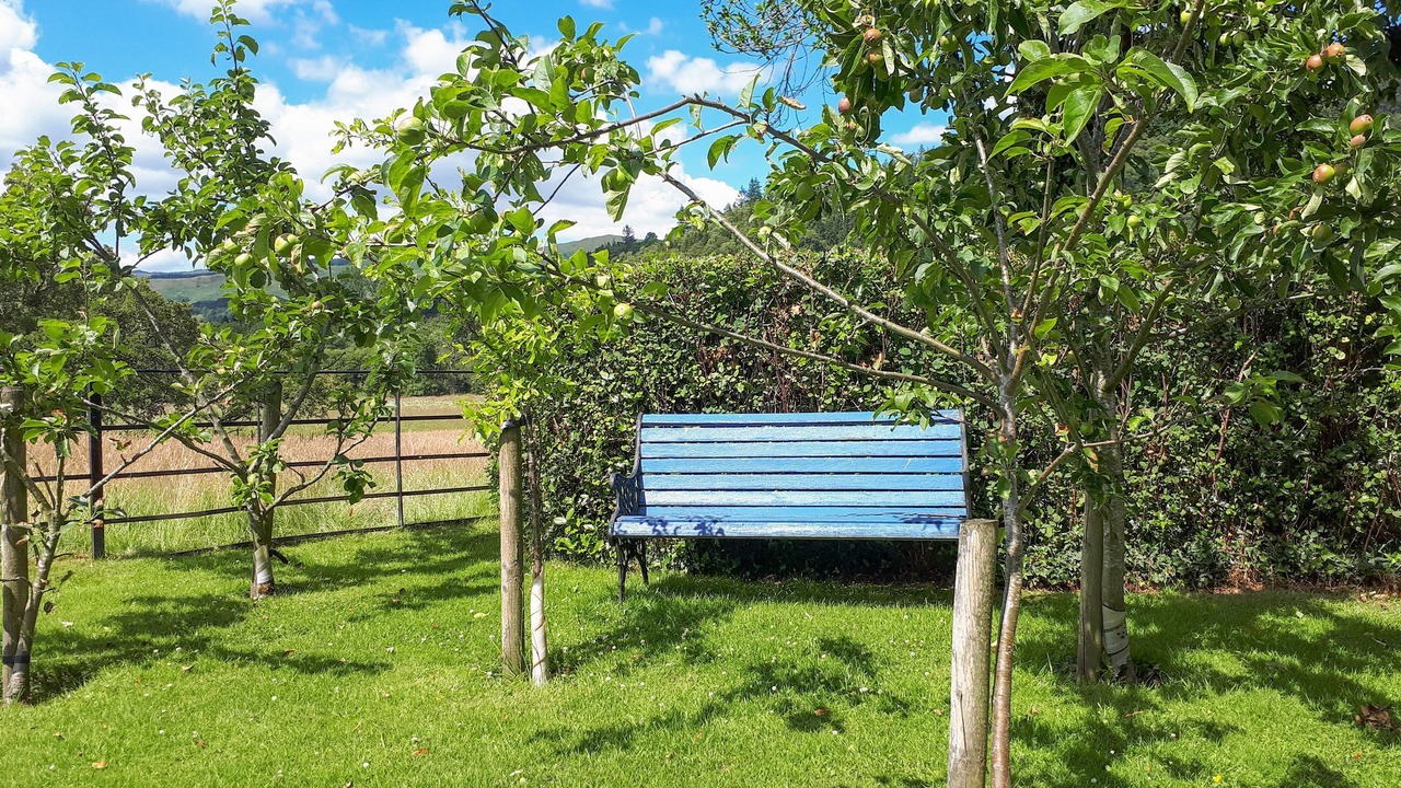 Photo of Outdoor in Callander