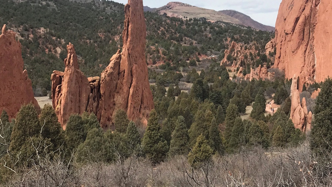 Photo of Others in Elbert