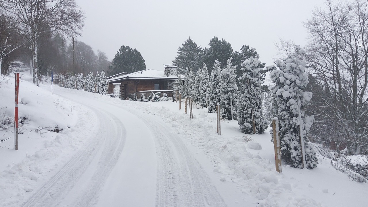 Photo of Outdoor in Saint-George