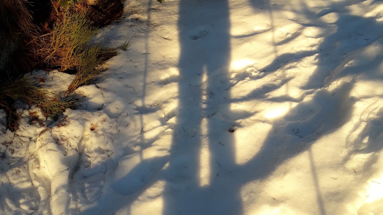 Photo of Outdoor in Font-Romeu-Odeillo-Via
