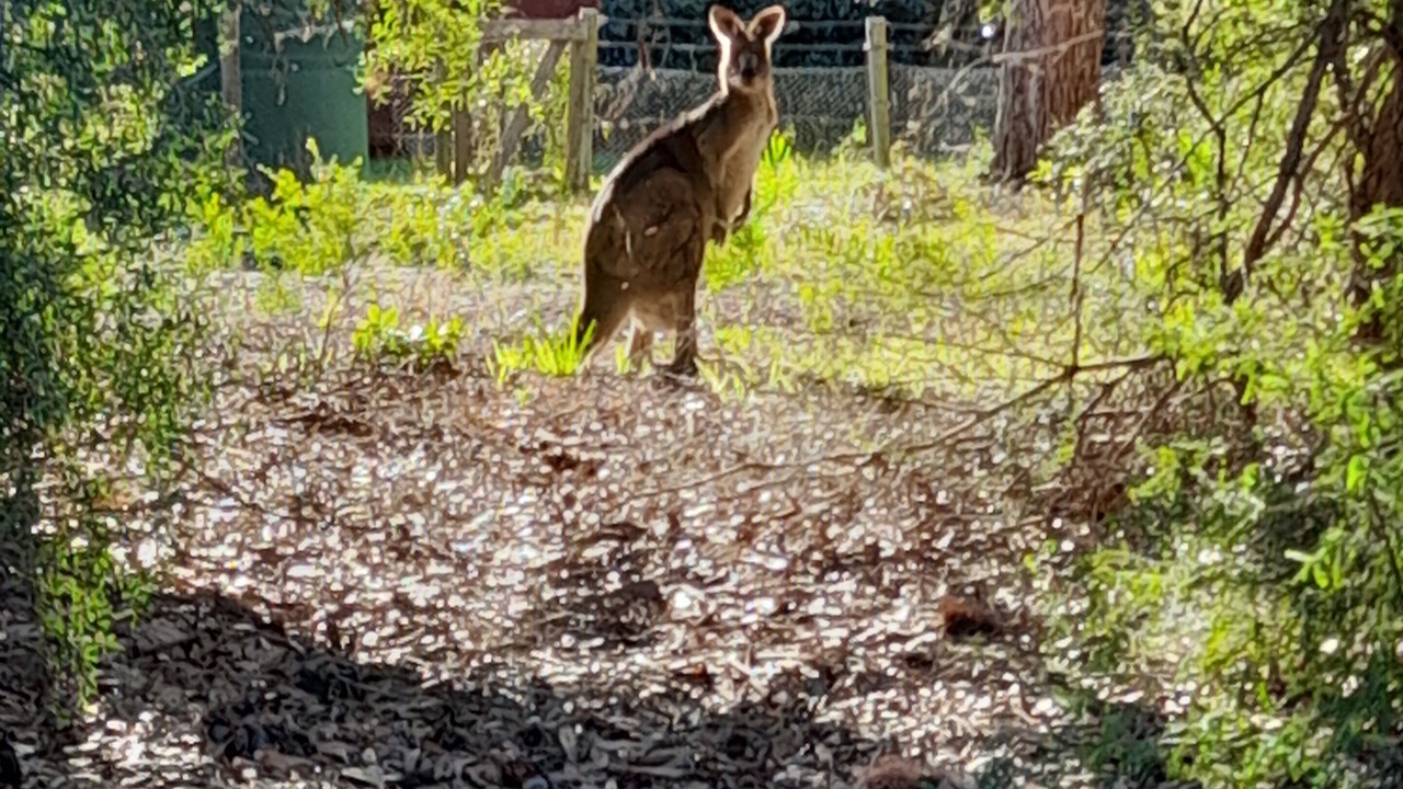 Photo of Outdoor in Loch Sport