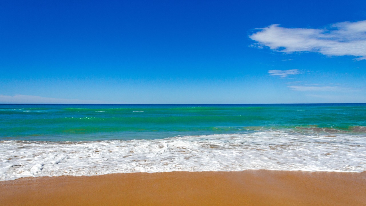 Photo of Others in Loch Sport