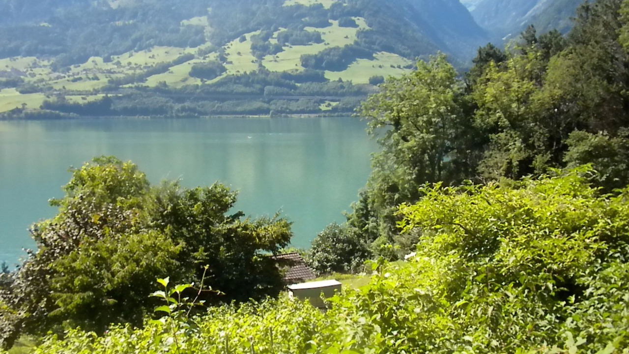 Photo of Others in Quarten