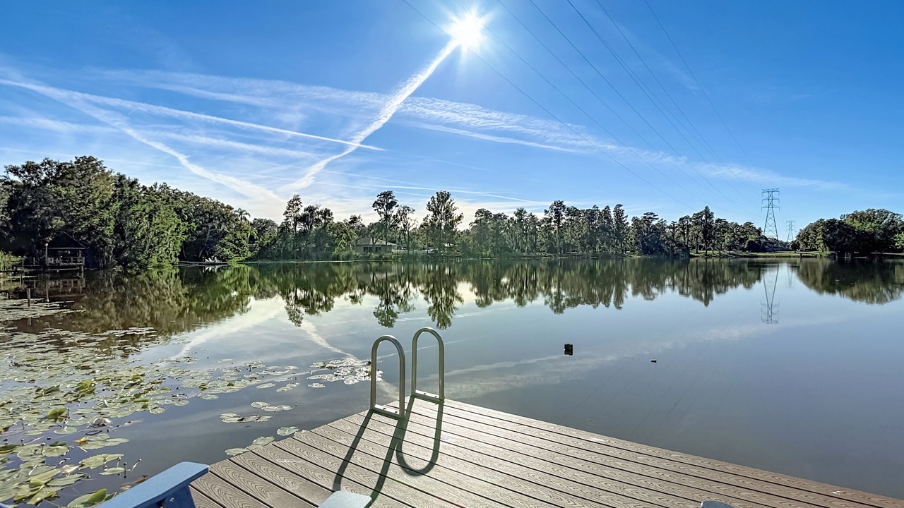 Photo of Outdoor in Lutz