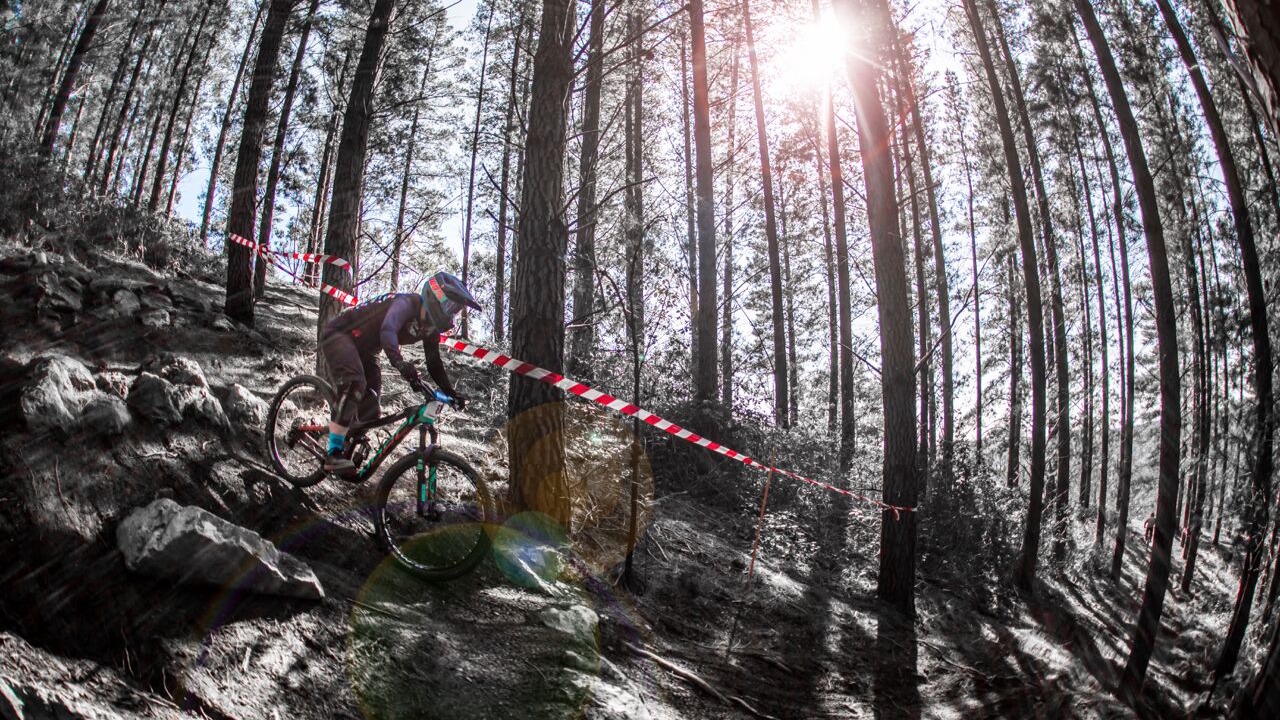 Photo of Others in Lenswood