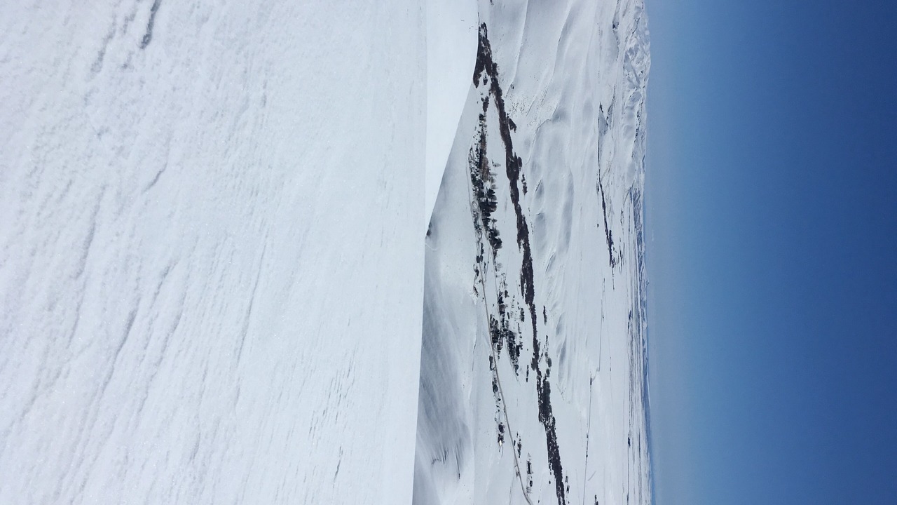 Photo of Others in Camas County