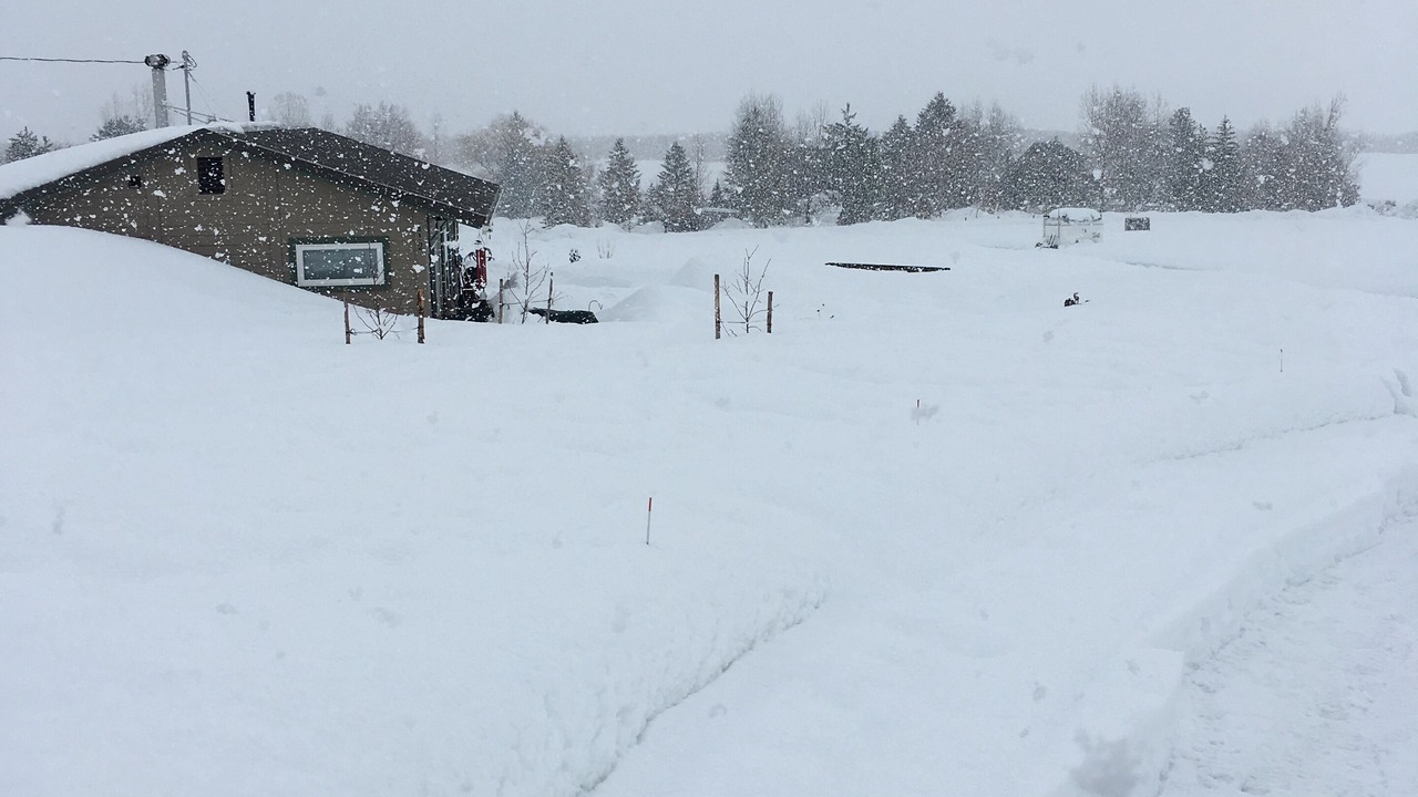 Photo of Others in Camas County