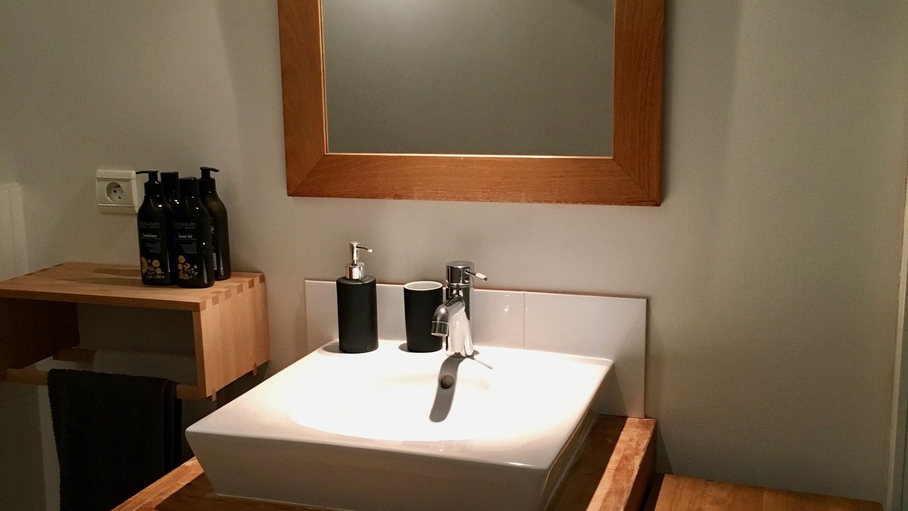 Photo of Bathroom in Saint-Jorioz
