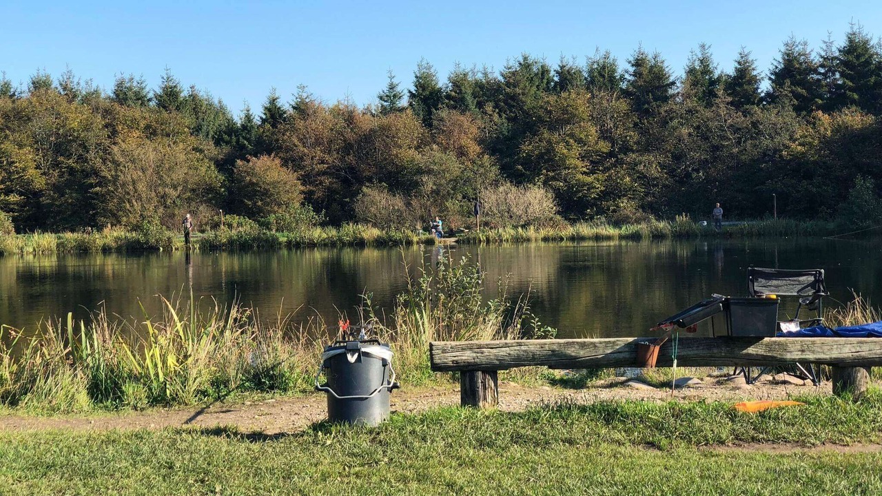 Photo of Others in Arrild Ferieby