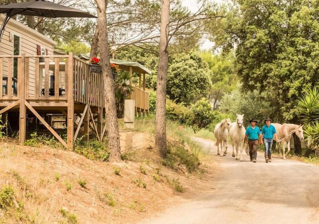 Photo of Others in Calvisson