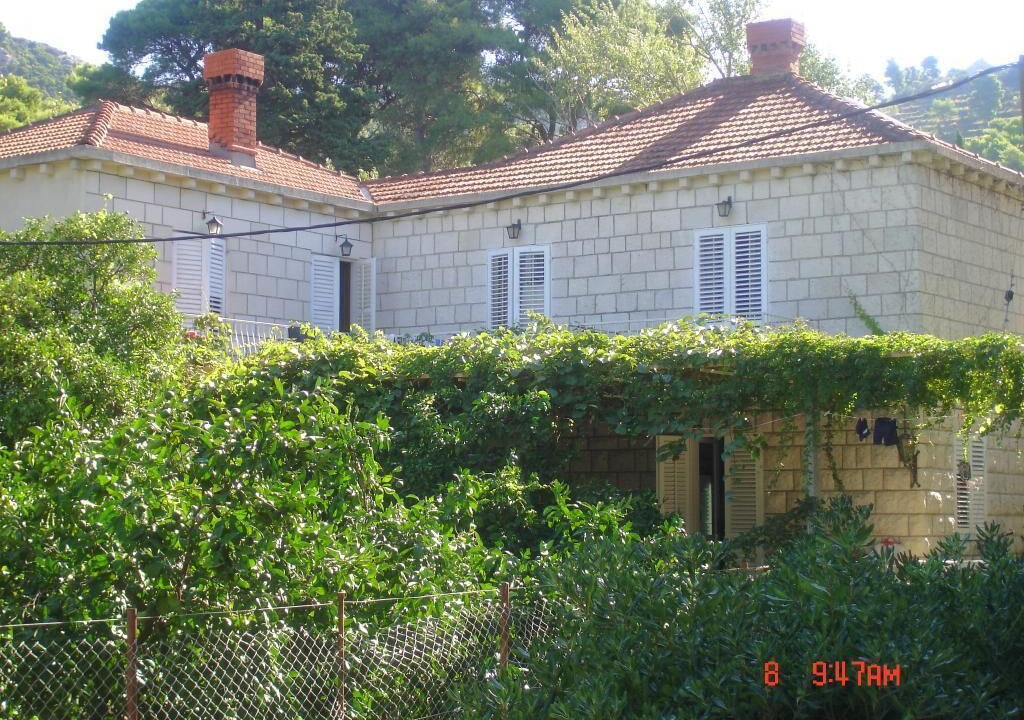 Photo of Outdoor in Lopud Island